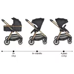 Cangaroo Hydra 2in1 babakocsi fekete