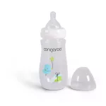 Cangaroo Birdy cumisüveg 300ml fiú