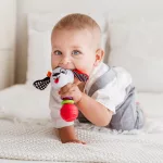 Bali Bazoo 82028 rágóka kutya pedro